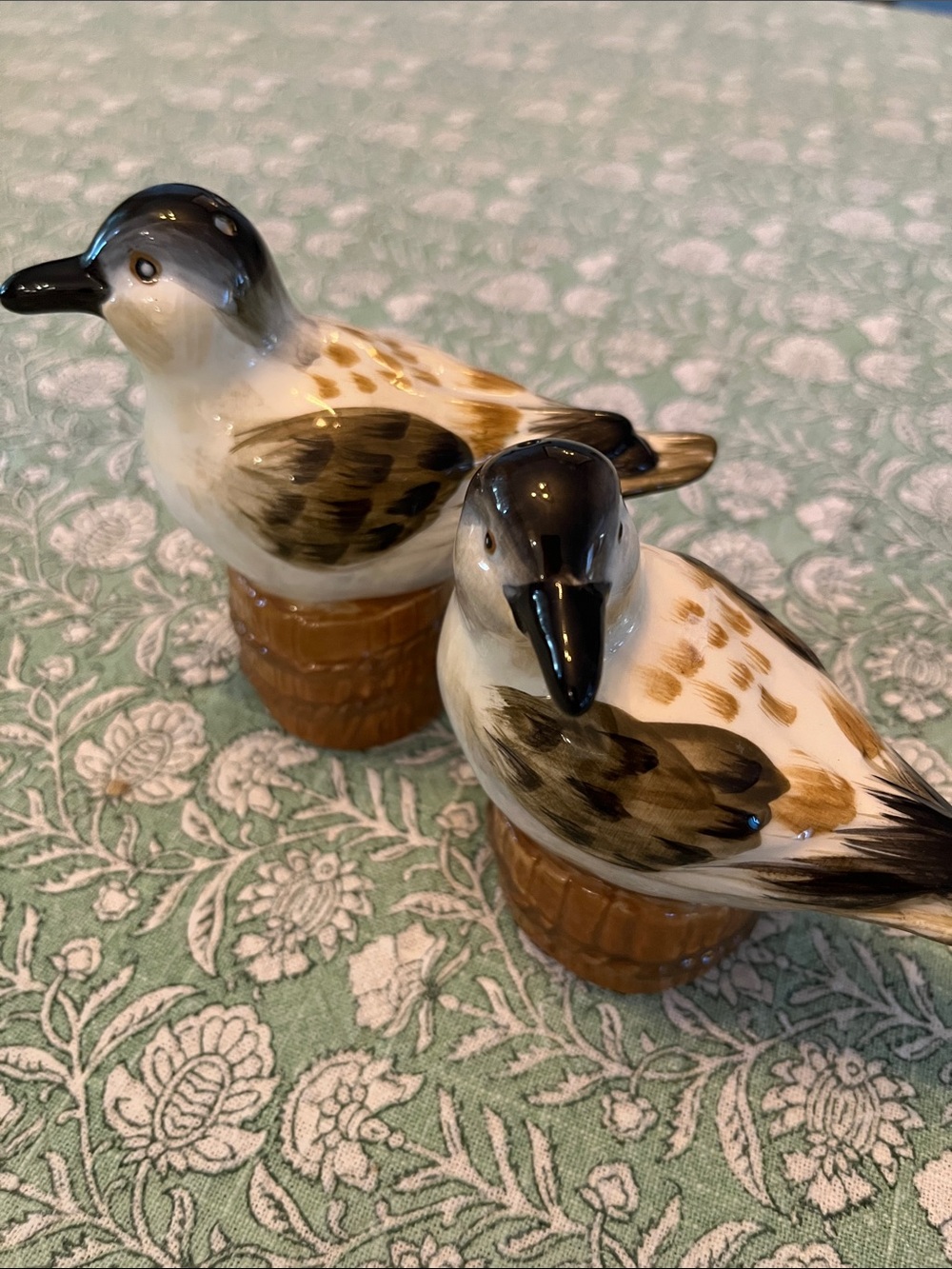Seagull Salt and Pepper Shakers - Brown and White Birds